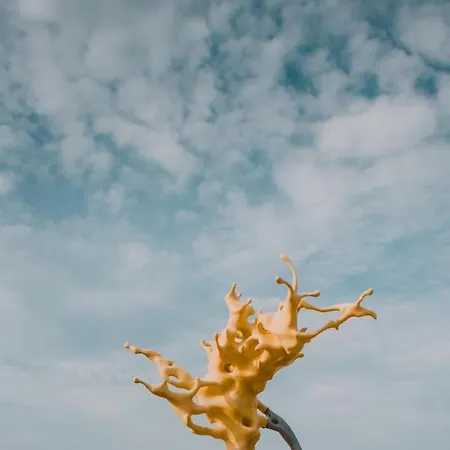 Apartment Studio-m *